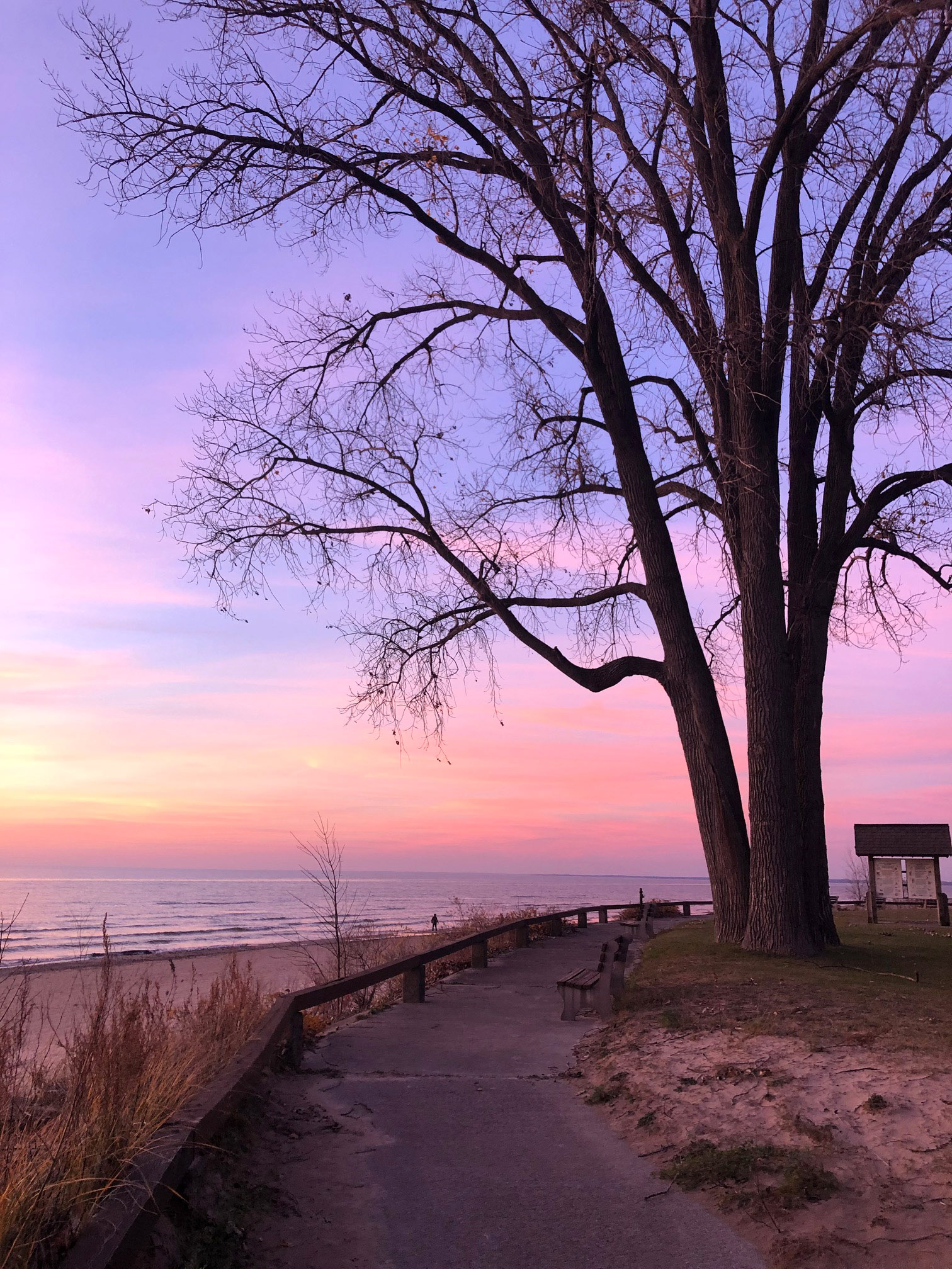 Hidden Gems: Southwick Beach State Park - A Healthier Upstate